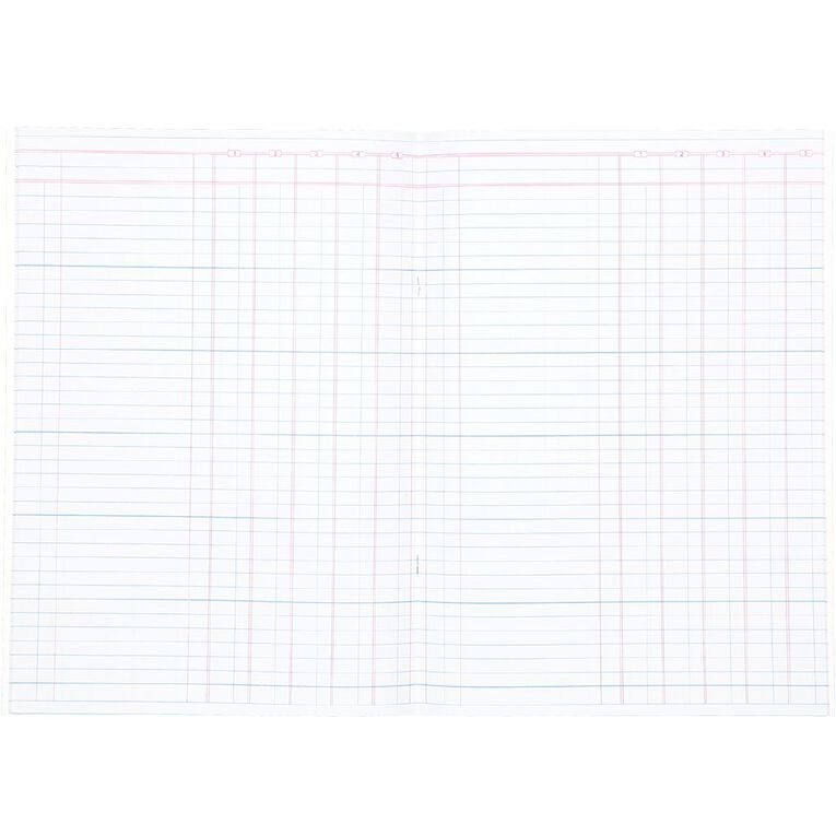 WS 5 Money Column Limp Analysis Book 26 Leaf Green Mid A4, , hi-res