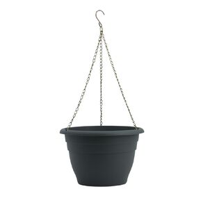 Kiwi Garden Plastic Hanging Basket 28cm