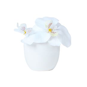 Living & Co Artificial Mini Orchid in Pot White