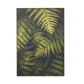 Living & Co Fern Framed Canvas 70cm x 100cm