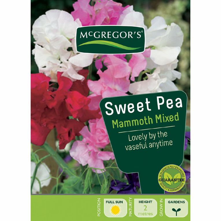 McGregor's Sweet Pea Mammoth Flower Seeds, , hi-res