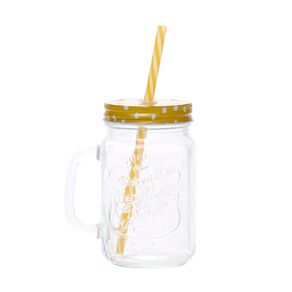 Living & Co Glass Mason Jar with Straw Clear 480ml
