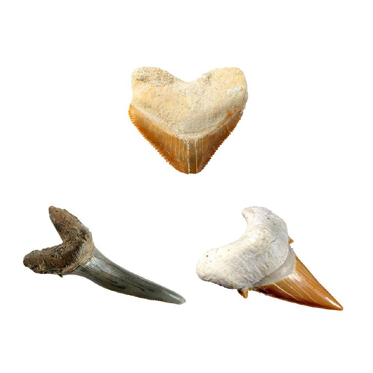 National Geographic Dig Kit Assorted, , hi-res