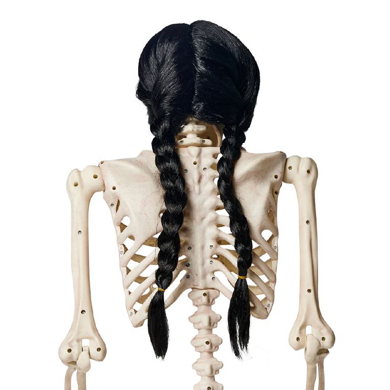 Seasons Plait Wig Black Black, , hi-res