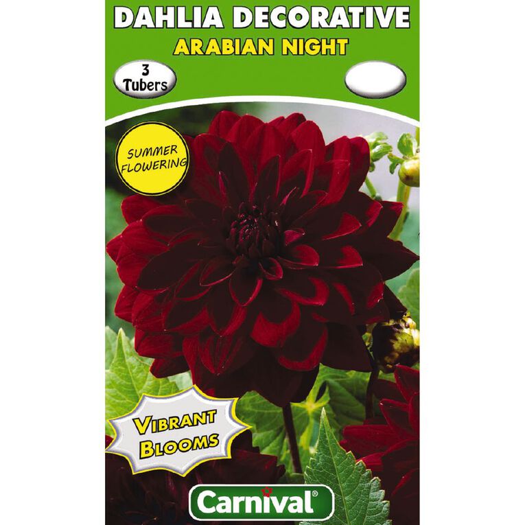 Kiwi Garden Dahlia Bulb Single Variety 3 Pack, , hi-res