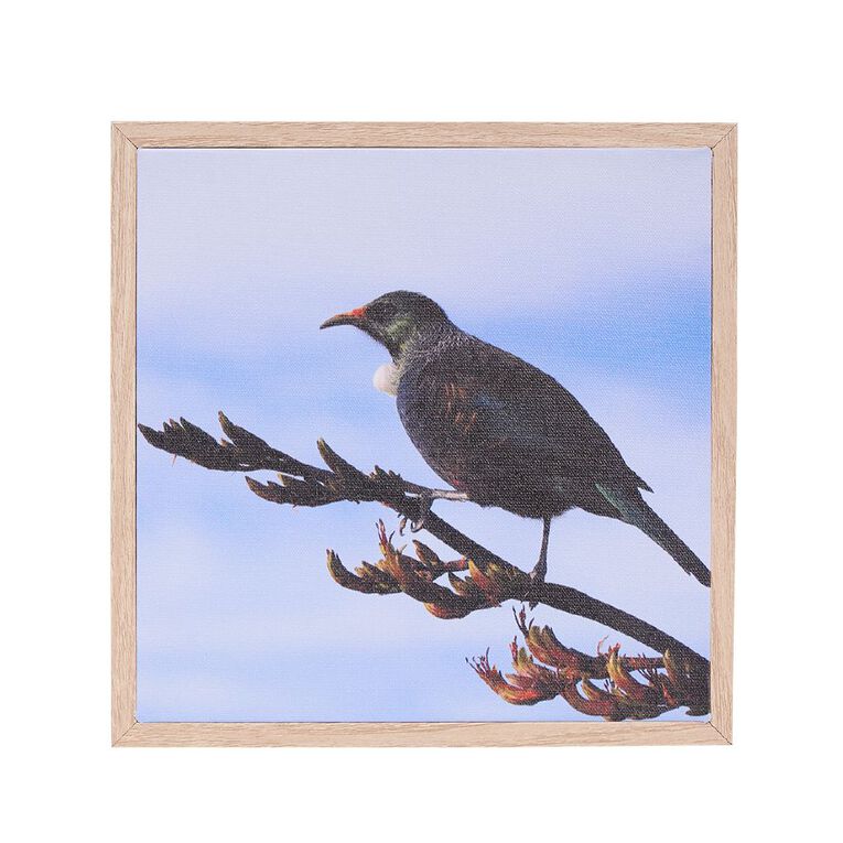 Living & Co Tui Framed Canvas 25cm x 25cm, , hi-res