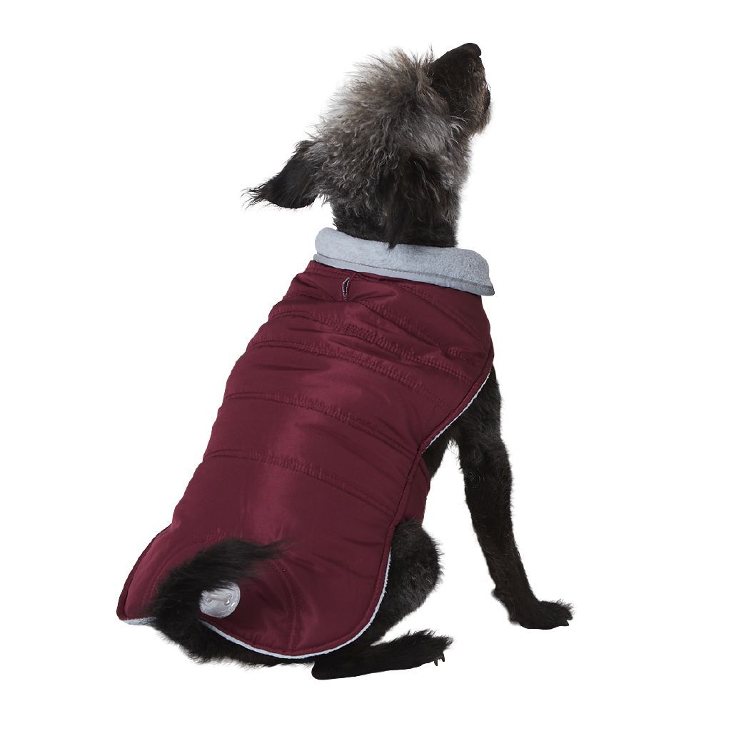 simply dog jacket