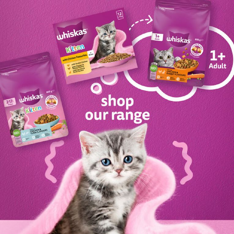 Whiskas Kitten Dry Cat Food Chicken & Tuna Bag 800g, , hi-res