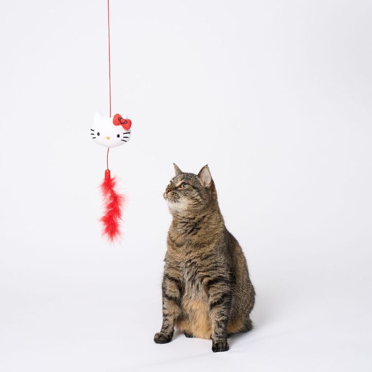 Hello Kitty Cat Teaser