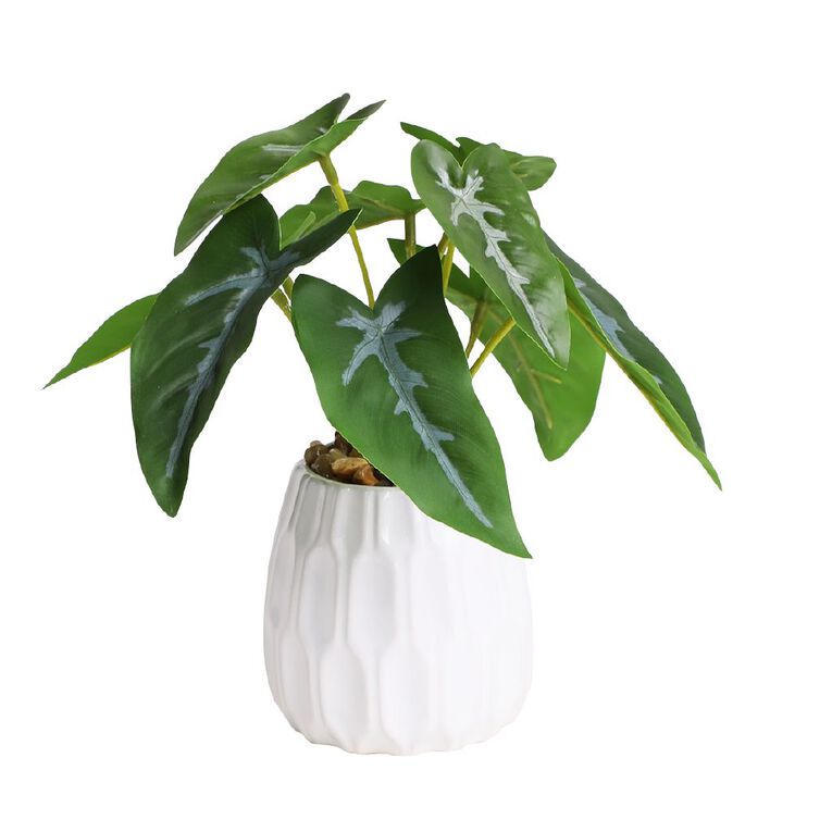 Living & Co Artificial Foliage Plant in Pot, , hi-res