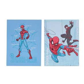 Spider-Man 2 Pack Printed Canvas Wall Art 30cm x 40cm