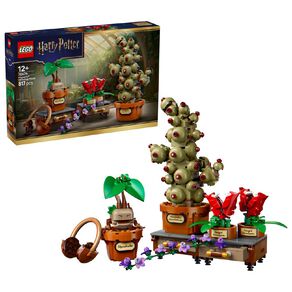 LEGO Harry Potter Hogwarts Herbology Plants 43013