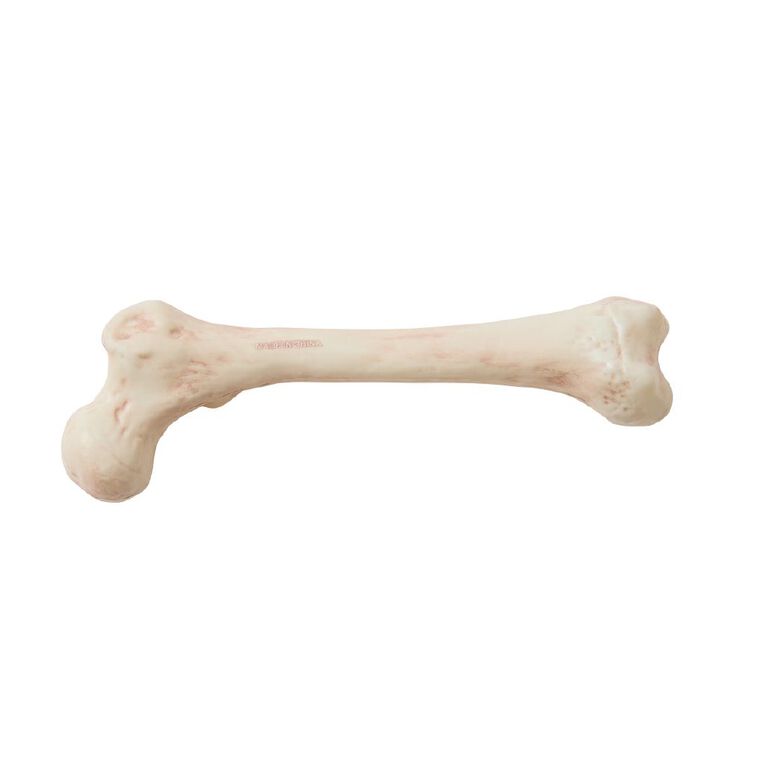 Seasons Skeleton Bare Bone Decoration, , hi-res