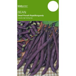 Kiwi Garden Bean Royal Burgundy Dwarf French Seeds
