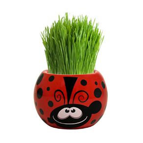 Boutique Garden Grass Head Kit Friendly Ladybug