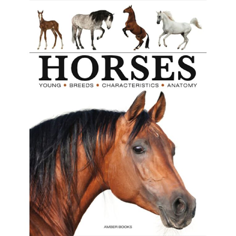 Mini Edition: Horses by Paula Hammond, , hi-res