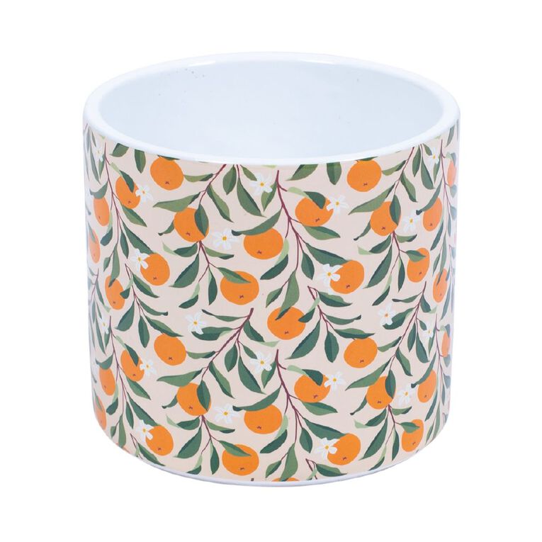 Kiwi Garden Indoor Pot 16cm x 16cm x 15.5cm Assorted, , hi-res