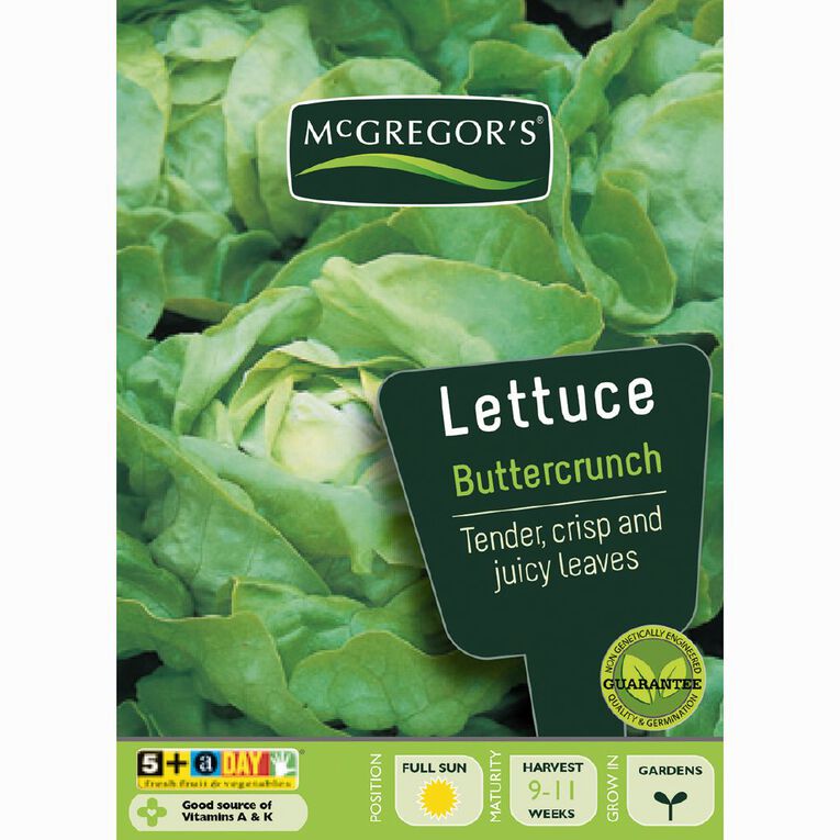 McGregor's Butter Crunch Lettuce Vegetable Seeds, , hi-res