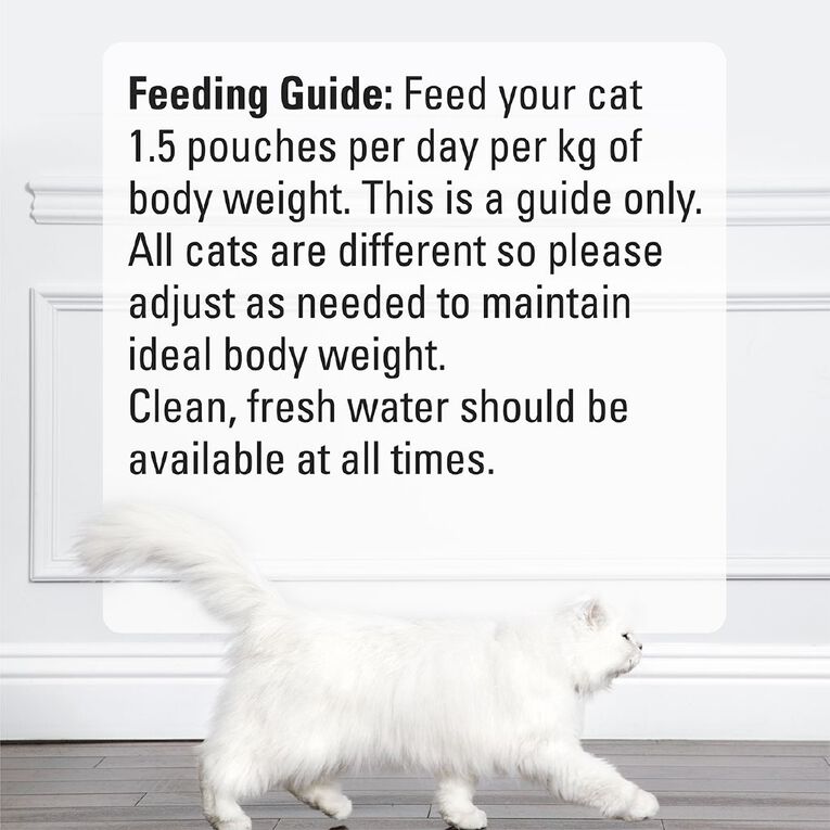 Fancy Feast Petite Delights Tuna Grilled Wet Cat Food Pouch 50g, , hi-res