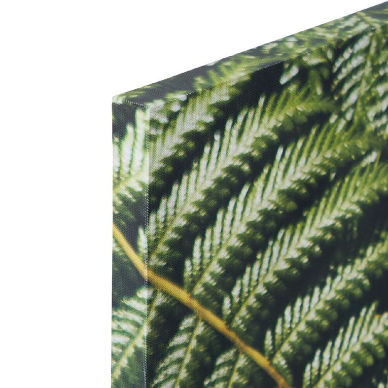 Living & Co Fern Printed Canvas 50cm x 70cm, , hi-res