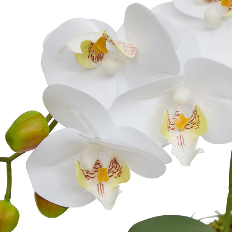 Botanica Artificial 30cm Orchid in Pot, , hi-res