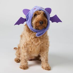 Scarehouse Bat Pet Hat One Size