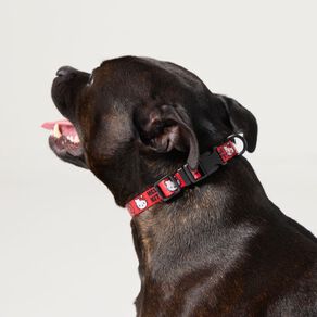 Hello Kitty Dog Collar Small