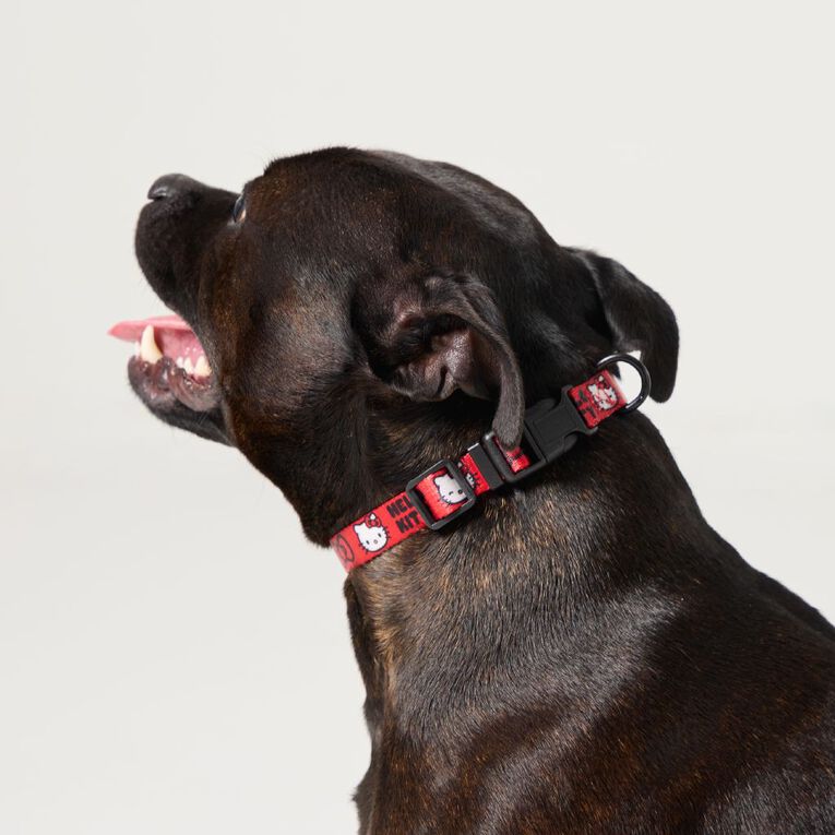Hello Kitty Dog Collar Small