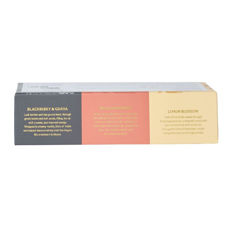 Living & Co Homestay Diffuser Set of 3 Lemon Grapefruit Blackberry, , hi-res