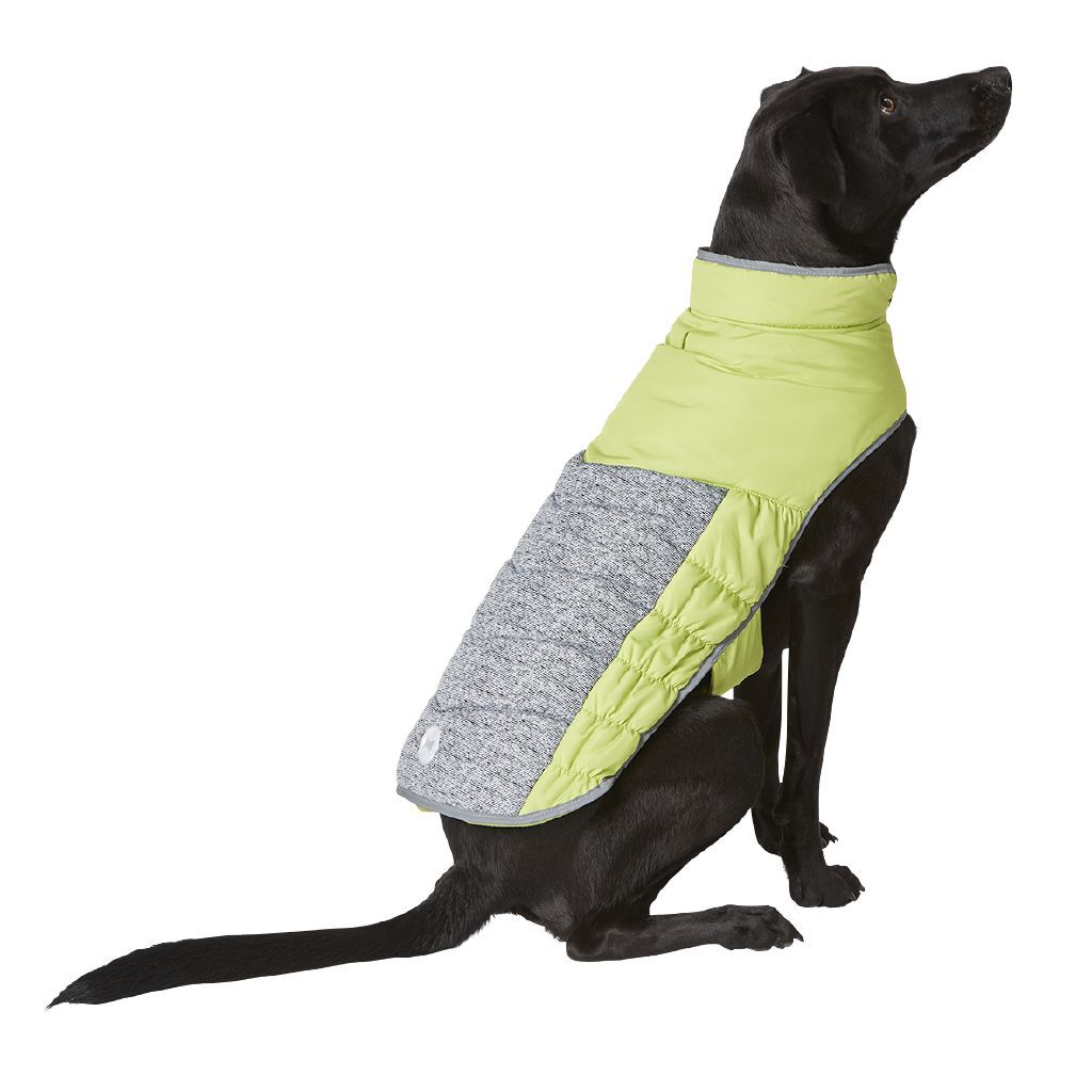simply dog jacket