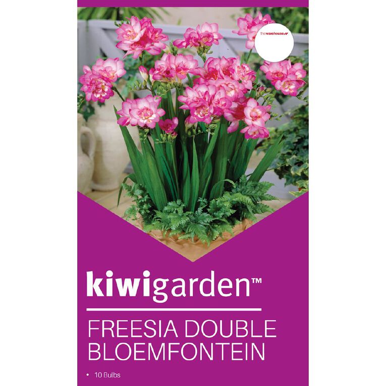 Kiwi Garden Freesia Double Bloemfontein 10PK, , hi-res