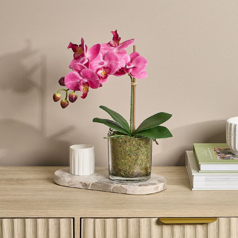 Botanica Artificial 30cm Orchid in Pot, , hi-res