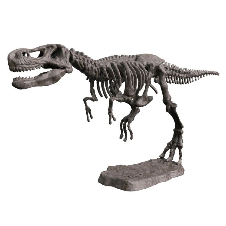 Play Studio Mini Dinosaur Fossil Kit Assorted, , hi-res