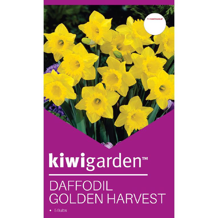 Kiwi Garden Daffodil Golden Harvest 5 bulbs, , hi-res