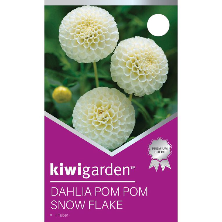 Kiwi Garden Dahlia Pom Pom Type 1 Pack, , hi-res