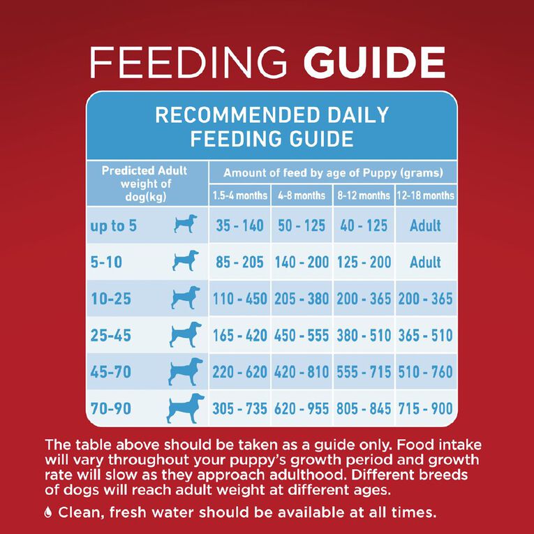 PURINA ONE Puppy Chicken Dry Dog Food 2.5kg, , hi-res