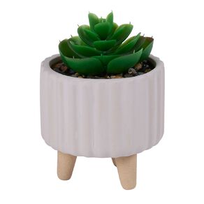 Living & Co Artificial Succulent in Footed Pot