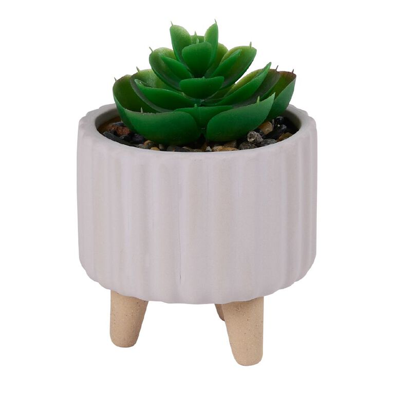 Living & Co Artificial Succulent in Footed Pot, , hi-res