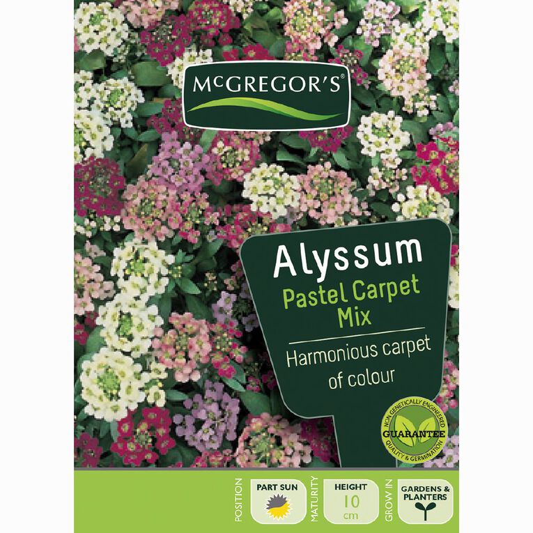 McGregor's Alyssum Pastel Flower Seeds, , hi-res