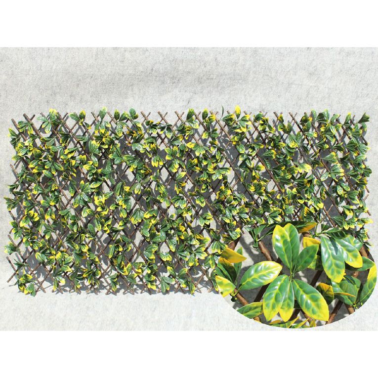 Kiwi Garden Expanding Willow Trellis PE Leaf 100 x 200cm, , hi-res