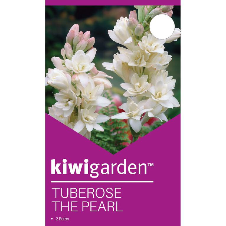 Kiwi Garden Tuberose The Pearl Bulb 2 Pack, , hi-res