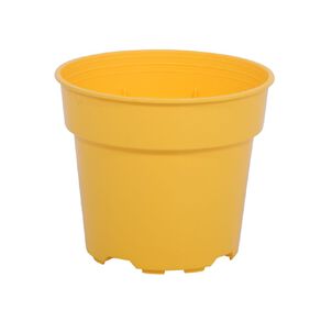Kiwi Garden Coloured Pot
