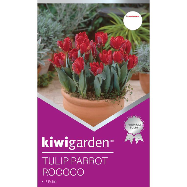 Kiwi Garden Tulip Parrot Rococo 5 bulbs, , hi-res