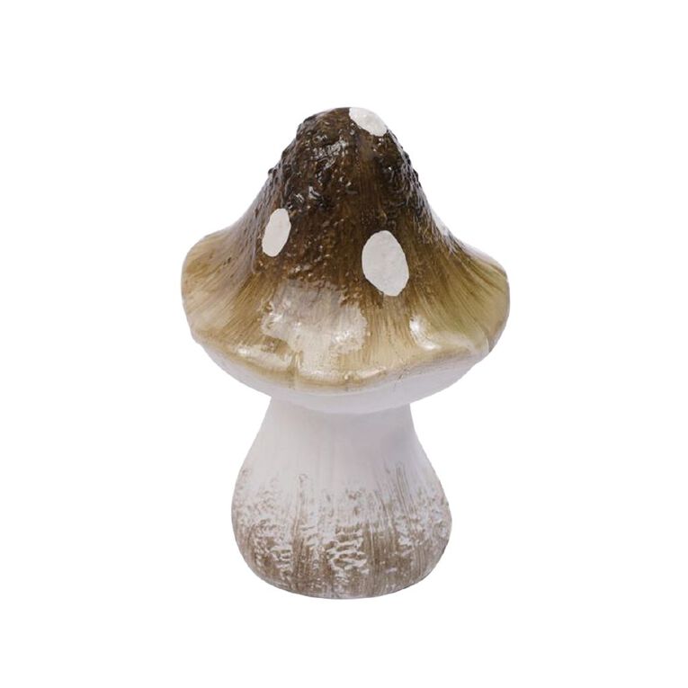 Kiwi Garden Mushrooms, , hi-res