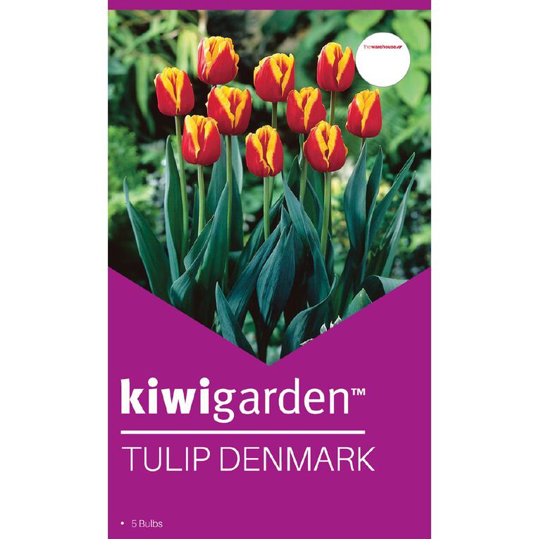 Kiwi Garden Tulip Denmark 5 bulbs, , hi-res