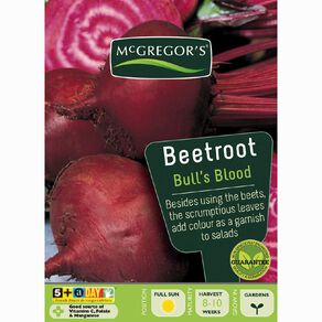 McGregor's Bullsblood Beetroot Vegetable Seeds