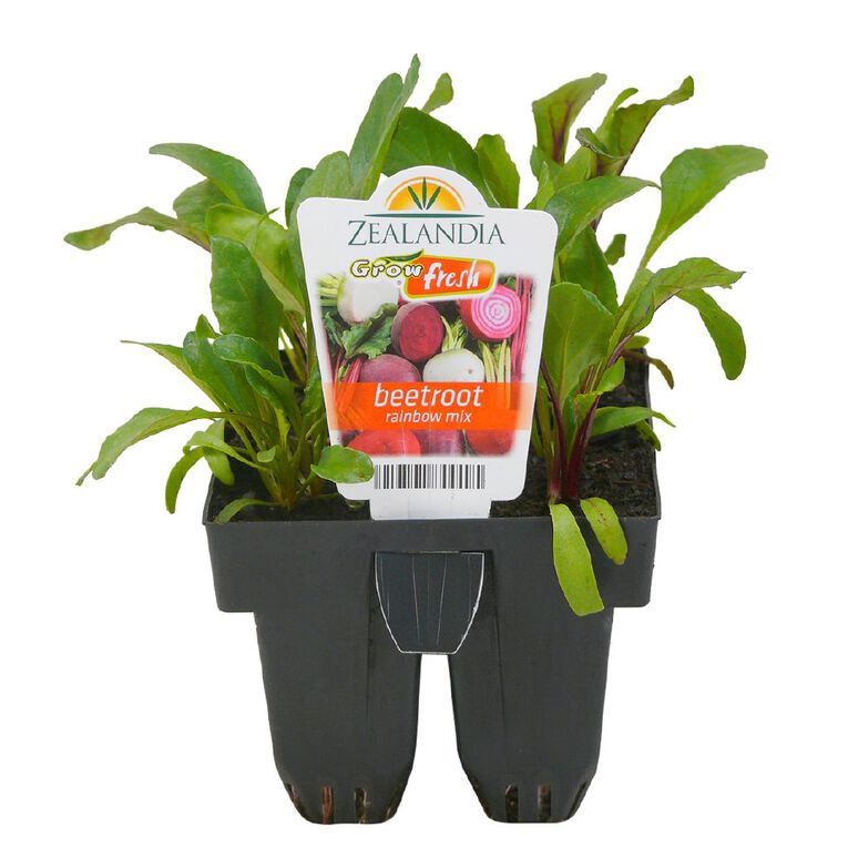 Growfresh Beetroot Rainbow Mix, , hi-res