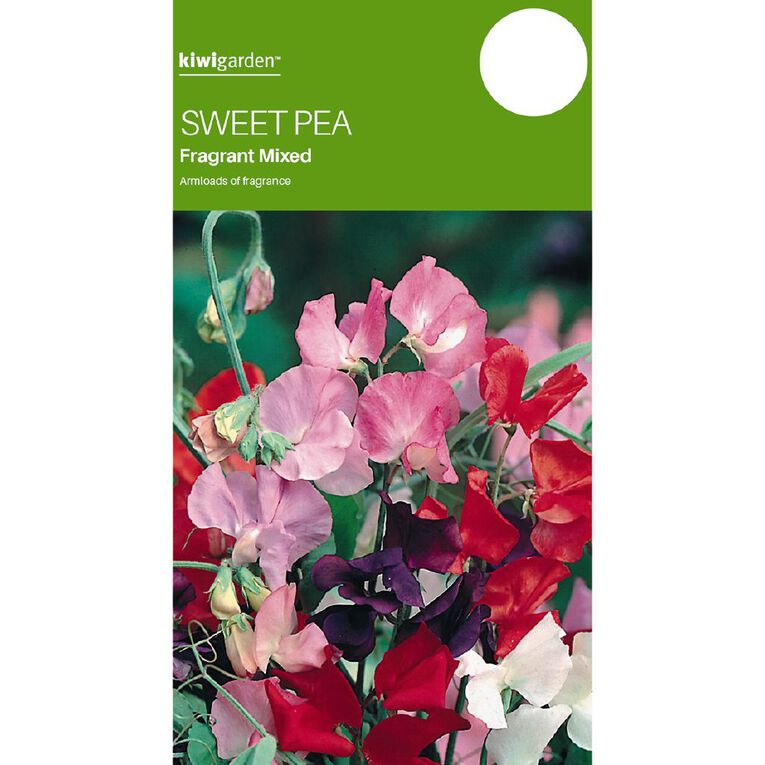 Kiwi Garden Sweet Pea Fragrant Mix Seeds, , hi-res