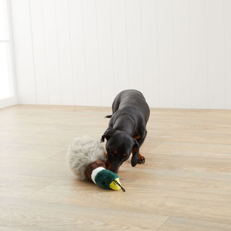 Petzone Dog Toy Plush Duck Large MultiColoured The Warehouse