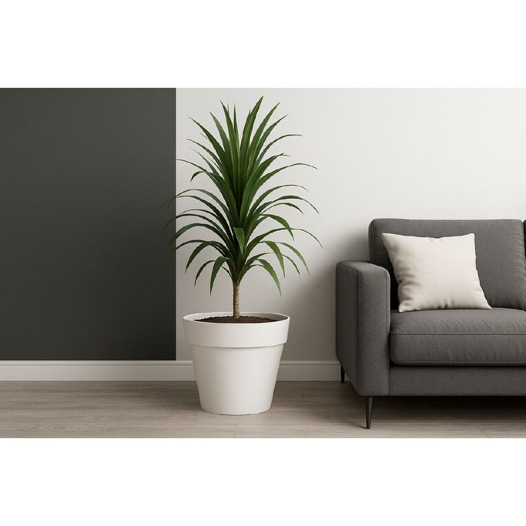Urban Green Mansion Pot 37cm x 34cm Assorted, , hi-res